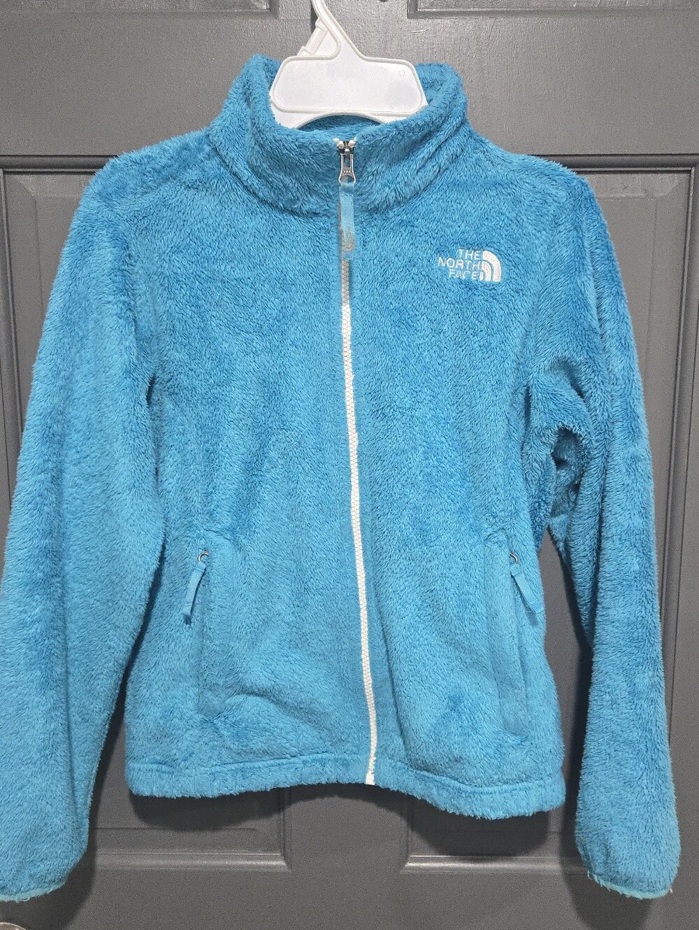 The North Face Plush Full-Zip Fleece Jacket in Bright Teal Blue